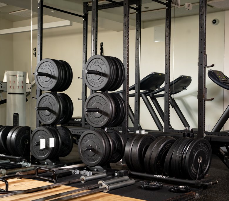 Plate racks on the strength floor